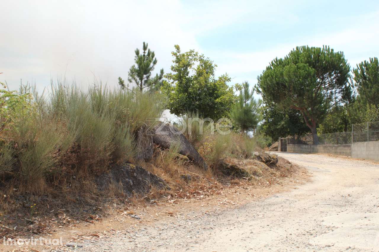 Terreno Rústico em Paranhos da Beira, Seia - Grande imagem: 5/10