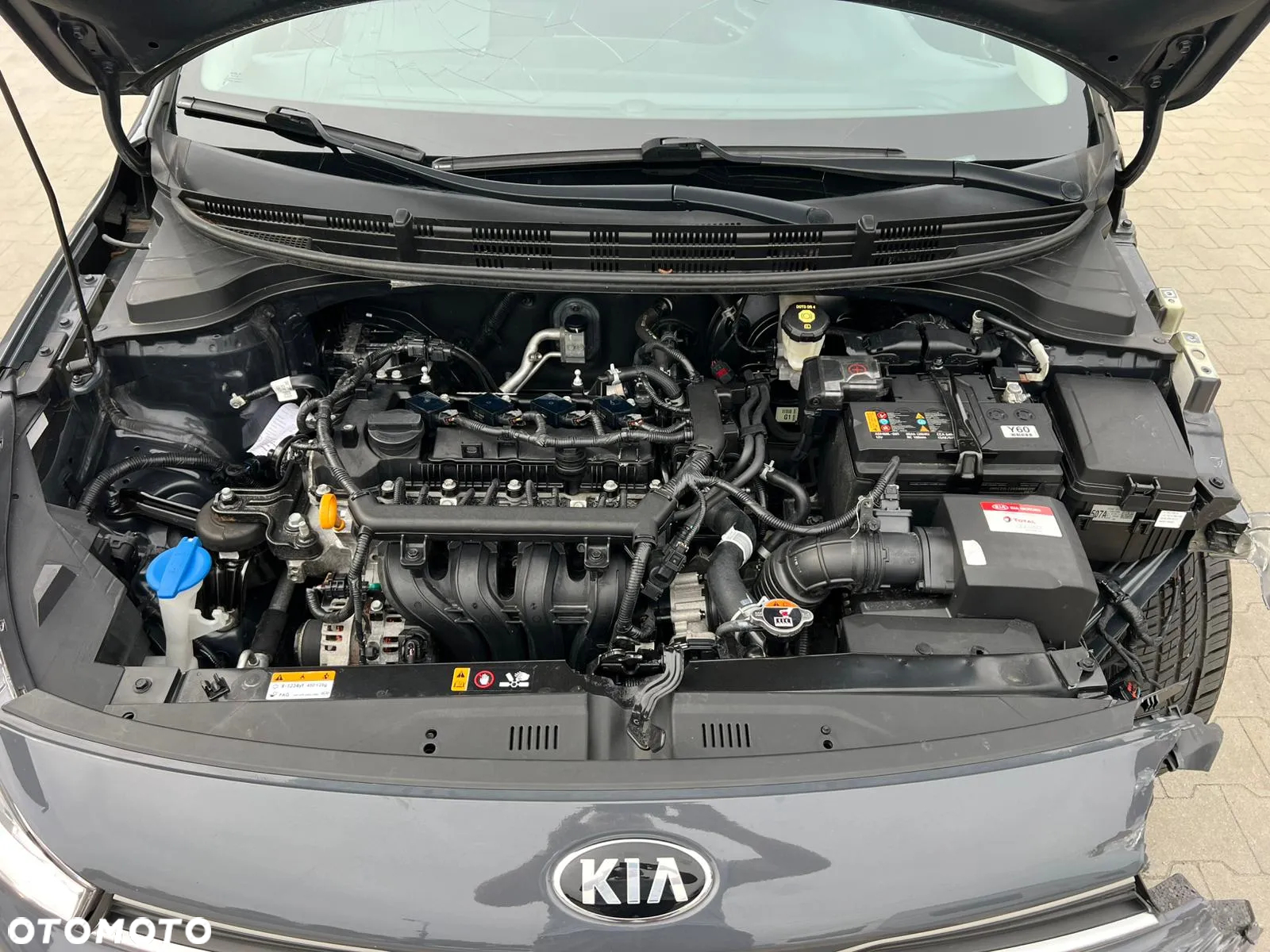 Kia Rio 1.2 M - 23