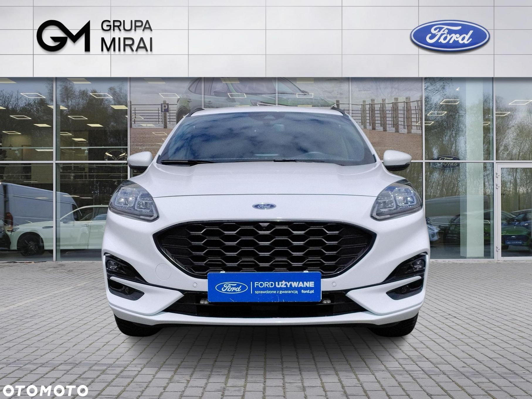 Ford Kuga 2.0 EcoBlue AWD ST-Line X - 8