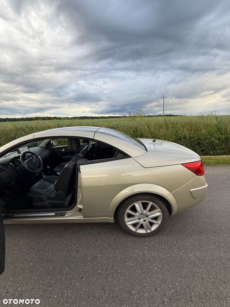 Renault Megane 2.0 Luxe Dynamique - 12