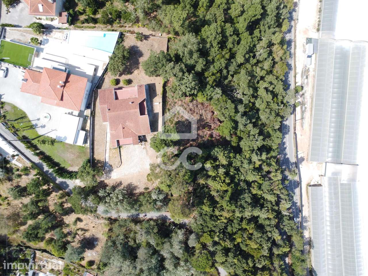 Terreno com 3.800 m² e vistas privilegiadas sobre o rio — Copeira - Grande imagem: 4/10