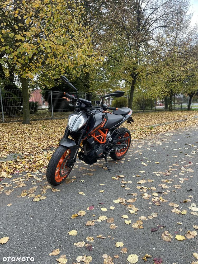 KTM Duke - 1