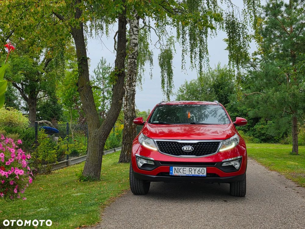 Kia Sportage - 36