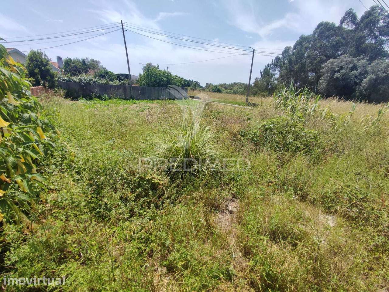 Terreno com 2 Frentes, na  Sôsa (Vagos) - Grande imagem: 5/10