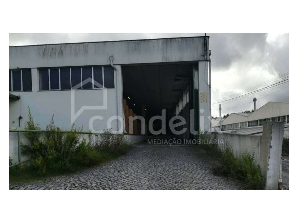 Pavilhão industrial com logradouro para venda em S. Martinho de Bou... - Grande imagem: 2/25