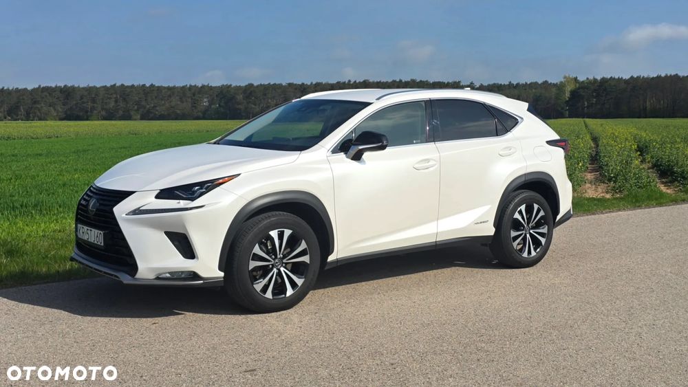 Lexus NX 300h F Impression AWD - 12