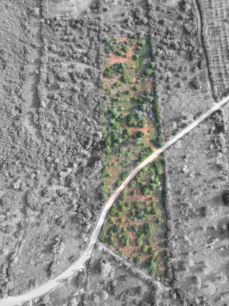 Terreno Rústico | 14.360m² | Paderne | Acesso Alcatroado | Dividido em - Grande imagem: 4/25