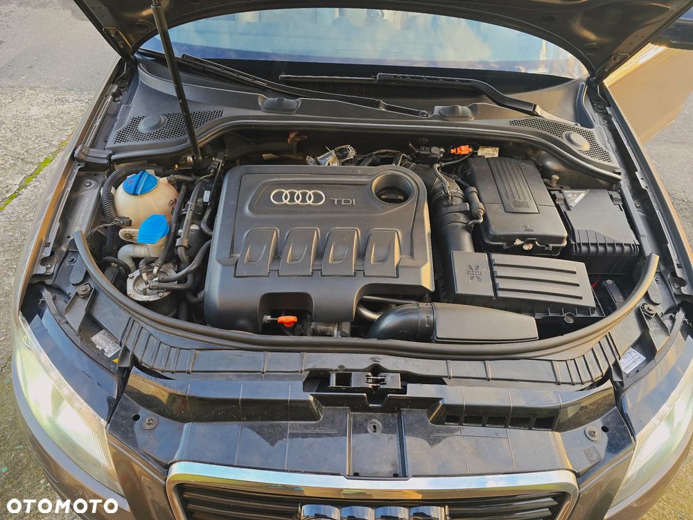 Audi A3 Cabrio 2.0 TDI DPF S tronic Attraction - 17