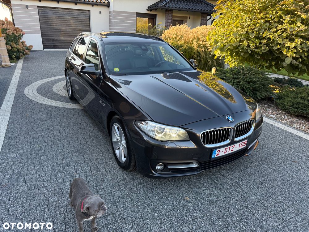 BMW Seria 5 520d Touring Blue Performance - 1