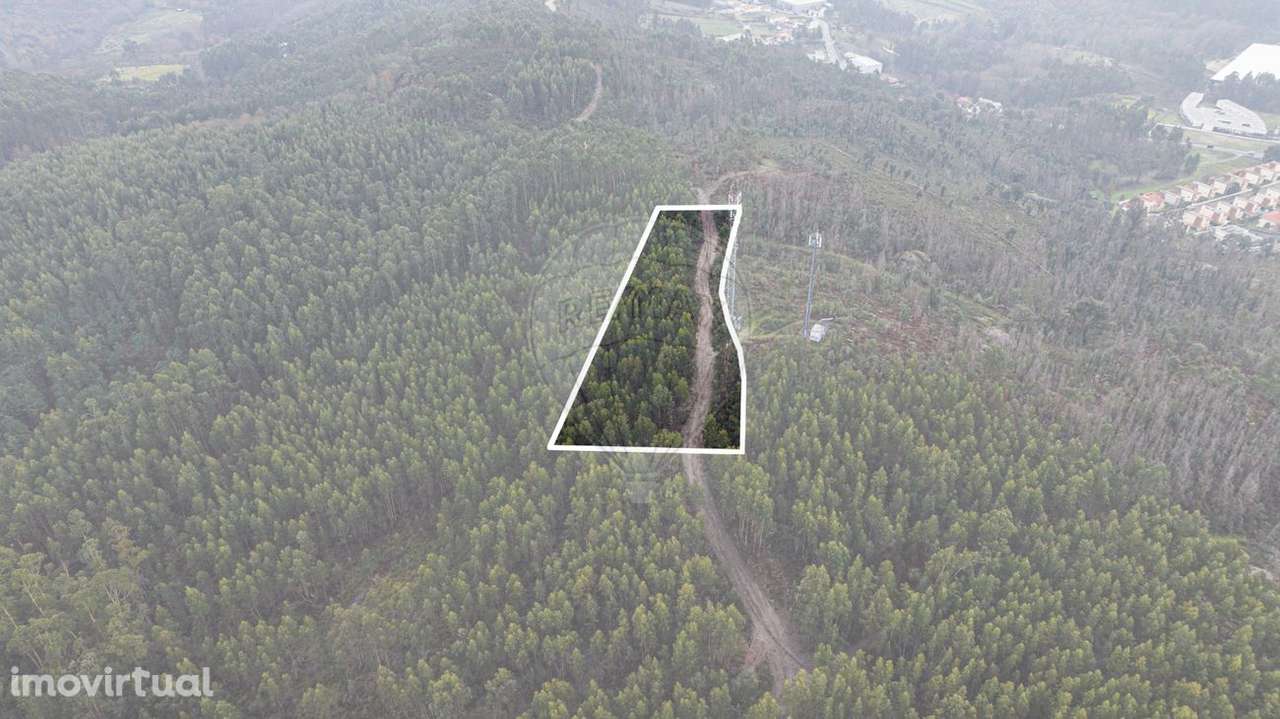 Terreno  para venda - Grande imagem: 4/19