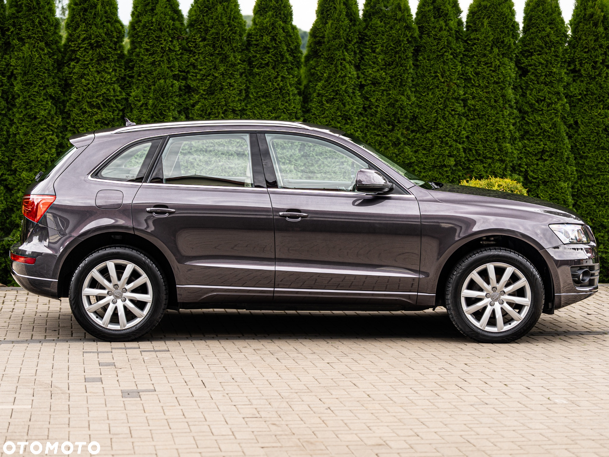 Audi Q5 2.0 TDI Quattro - 5