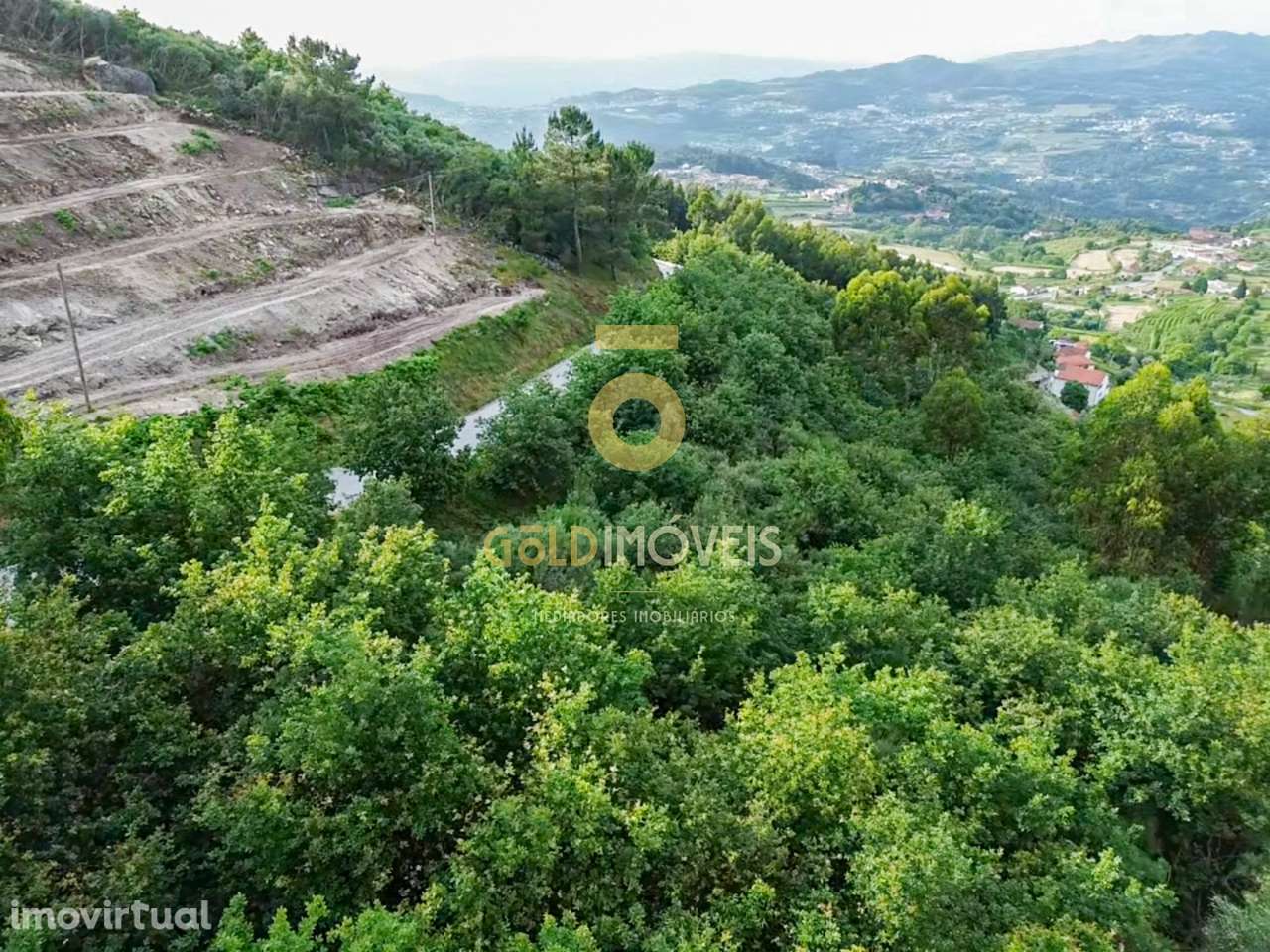 Terreno Rústico  Venda em Tarouquela,Cinfães - Grande imagem: 3/14