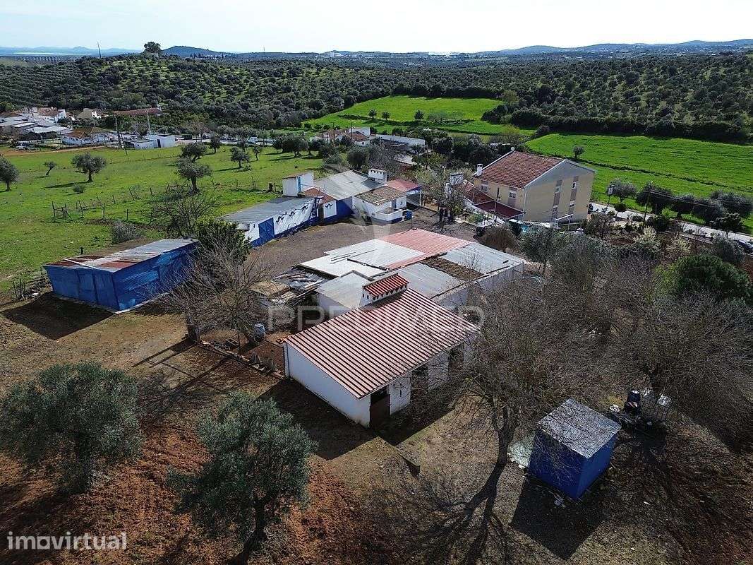 Quinta com 5825mts2 no Vedor, Elvas - Grande imagem: 5/16