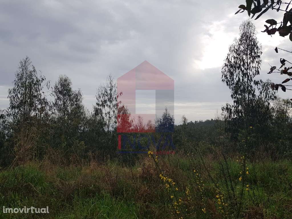 Vende-se Terreno, Marrancos - Grande imagem: 3/11