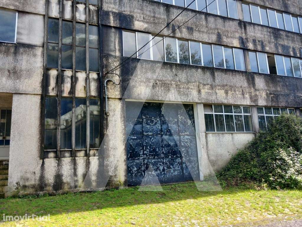Armazém em Macieira de Cambra - Vale de Cambra - Grande imagem: 3/16