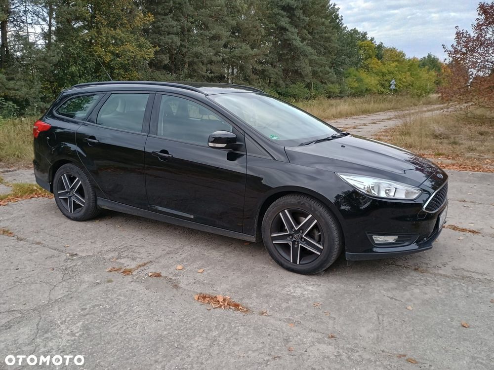 Ford Focus 2016 photo 3