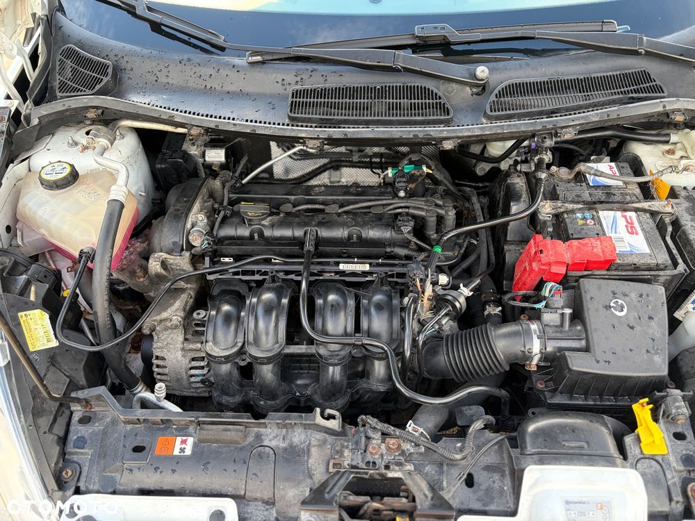 Ford Fiesta - 22