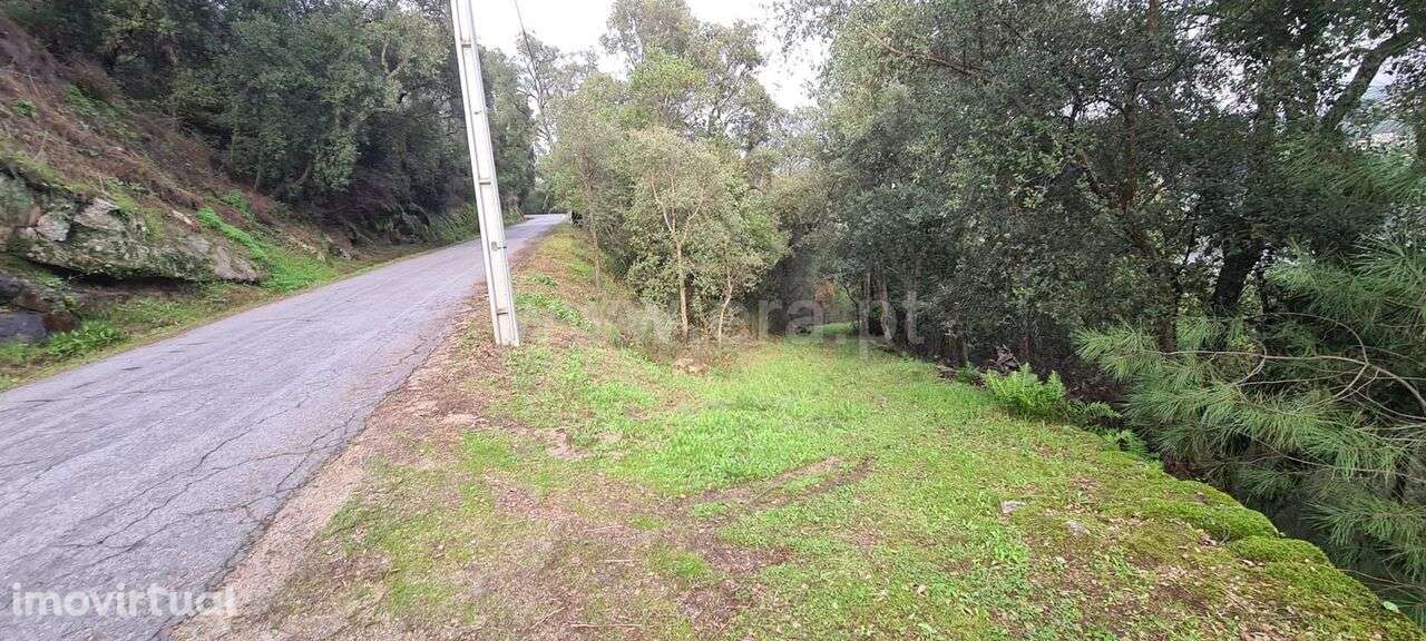 Quinta / Baião, Rio Douro - Grande imagem: 3/6