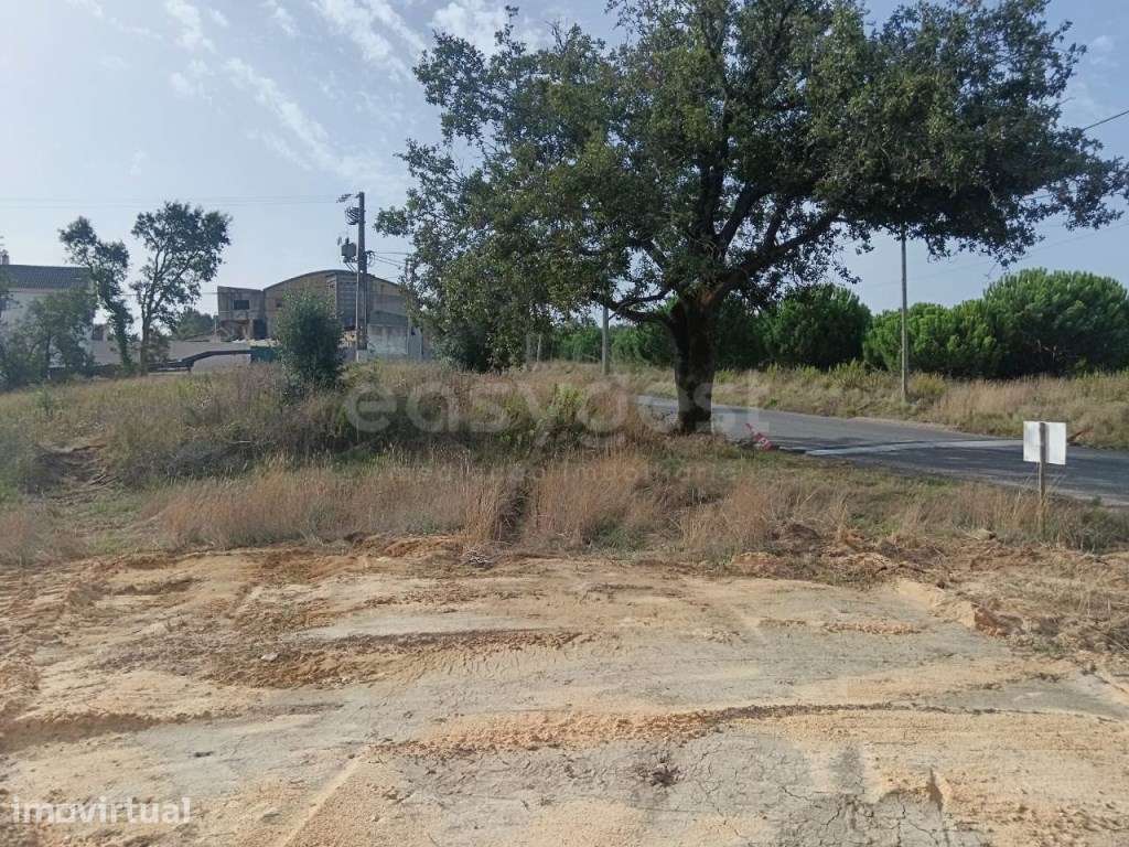 Terreno para construção em Aljubarrota - Grande imagem: 5/6