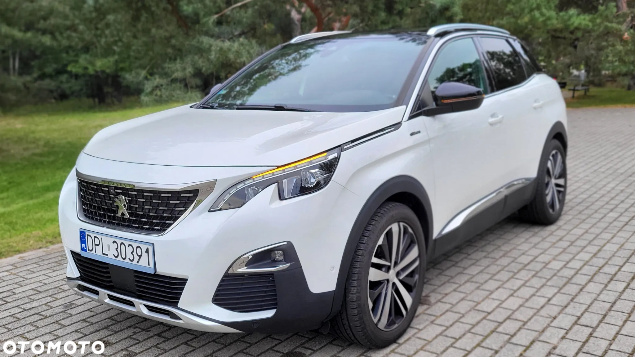 Peugeot 3008 1.2 PureTech GT S&S - 7