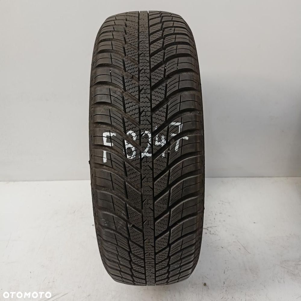 Opona 195/65/15 Nexen N Blue 4Season (F8247) - 1