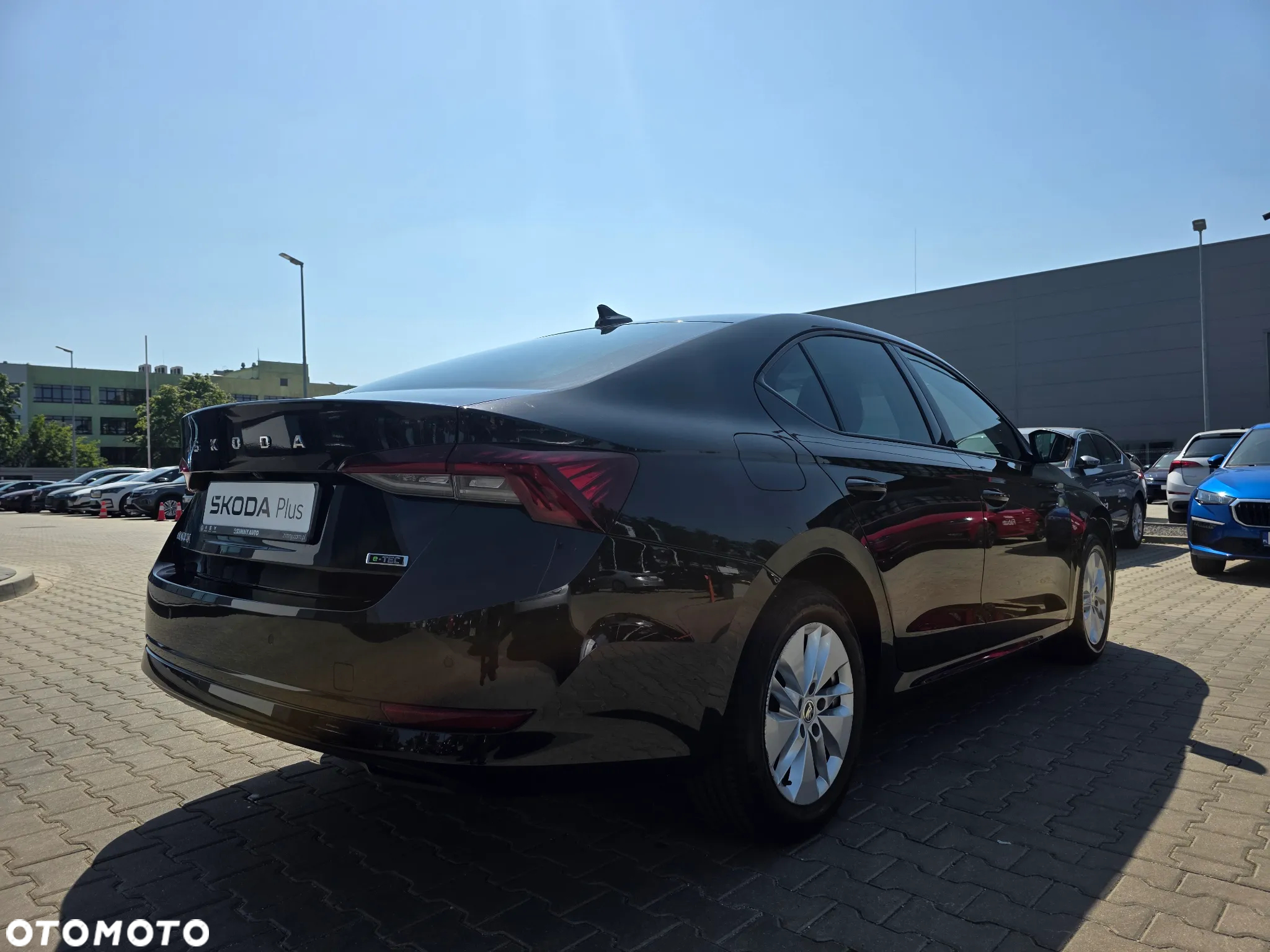 Skoda Octavia - 6