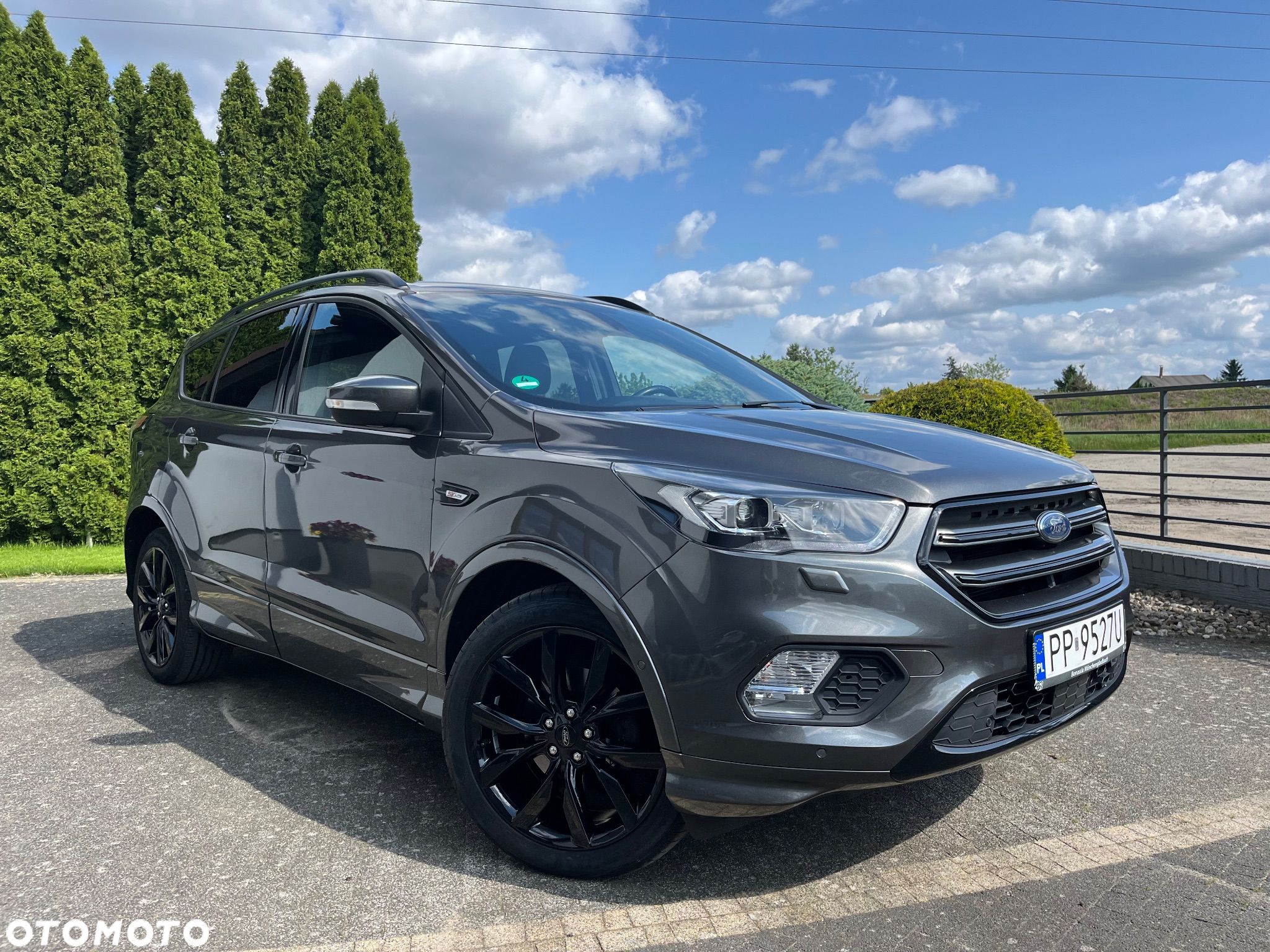 Ford Kuga 1.5 EcoBoost 2x4 ST-Line - 1