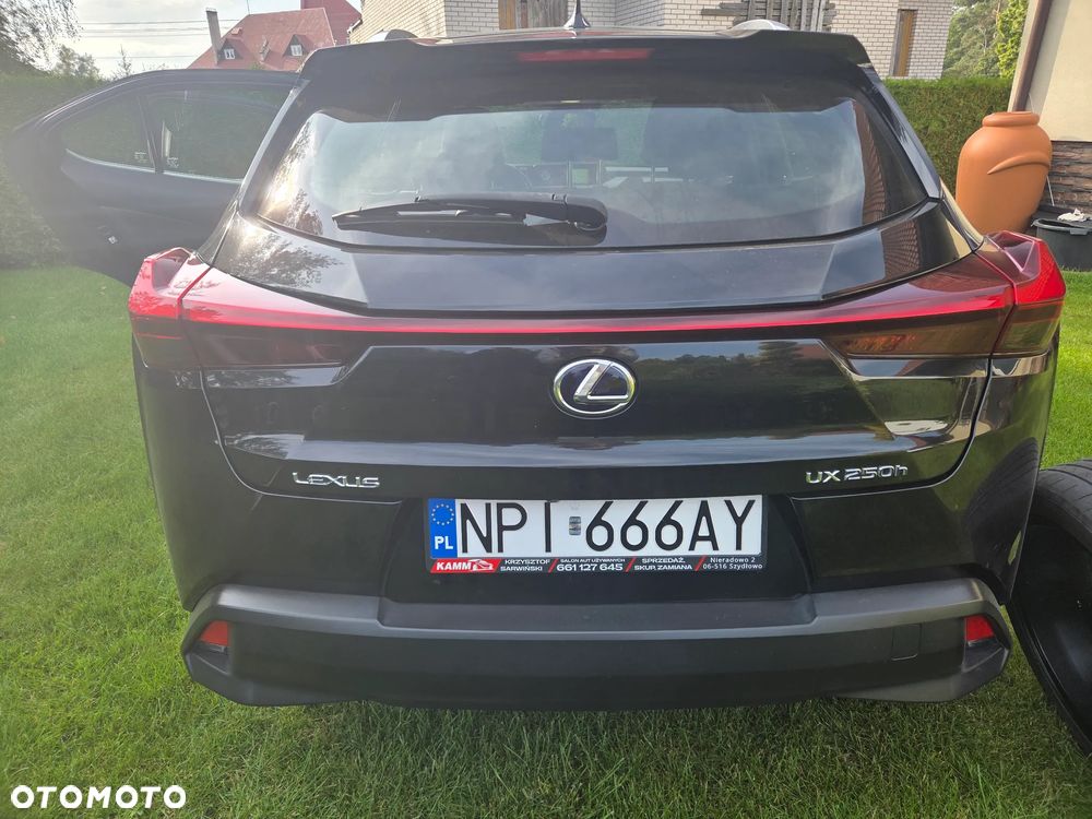 Lexus UX 250h Elegance 2WD - 6