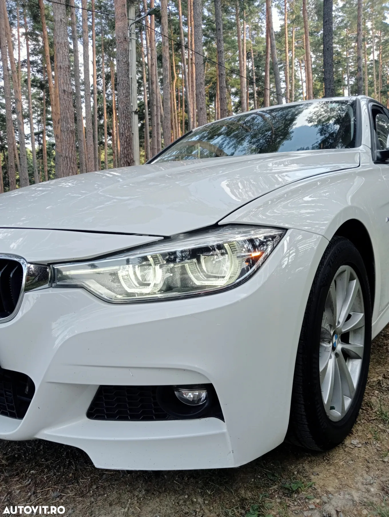 BMW Seria 3 - 13