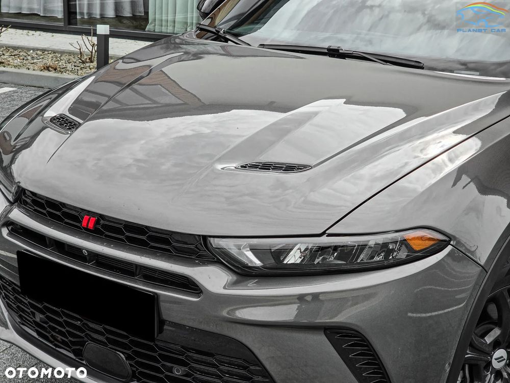 Dodge Hornet - 5