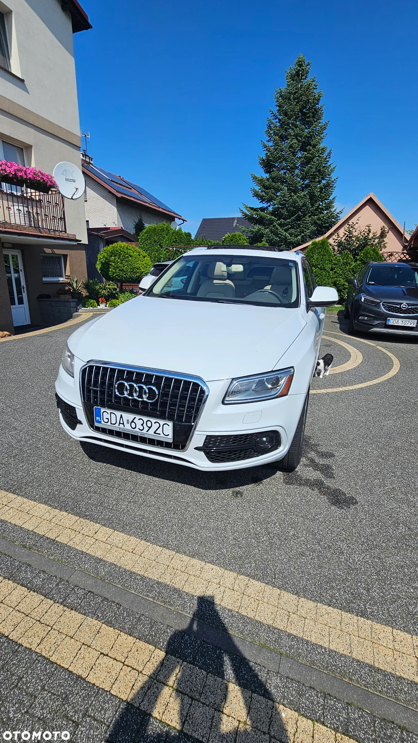 Audi Q5 3.0 TFSI Quattro Tiptronic - 2