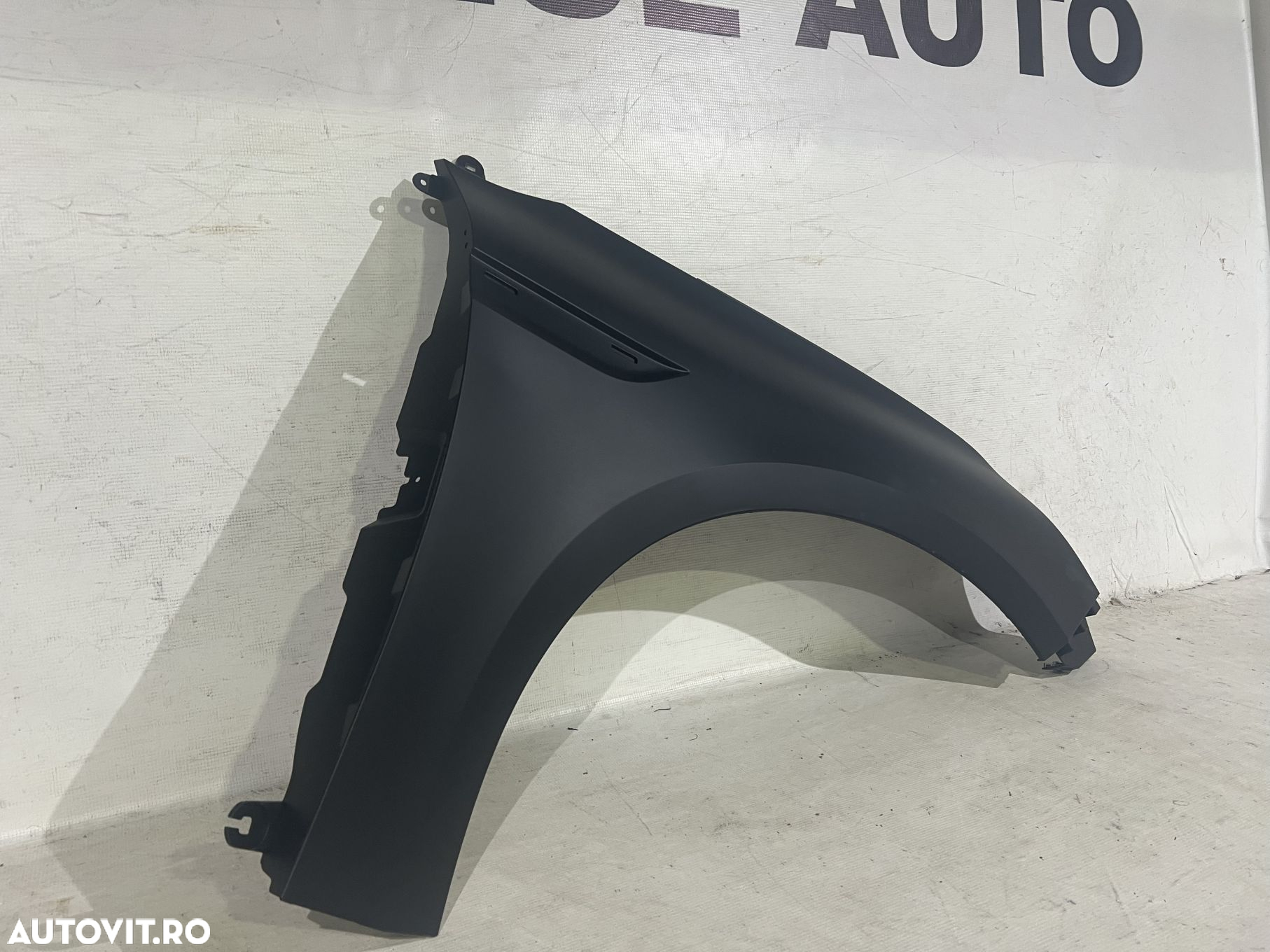 Aripa dreapta, Renault Megane 4, 2016, 2017, 2018, 2019, 2020, 2021, 2022, 2023, 2024. - 4