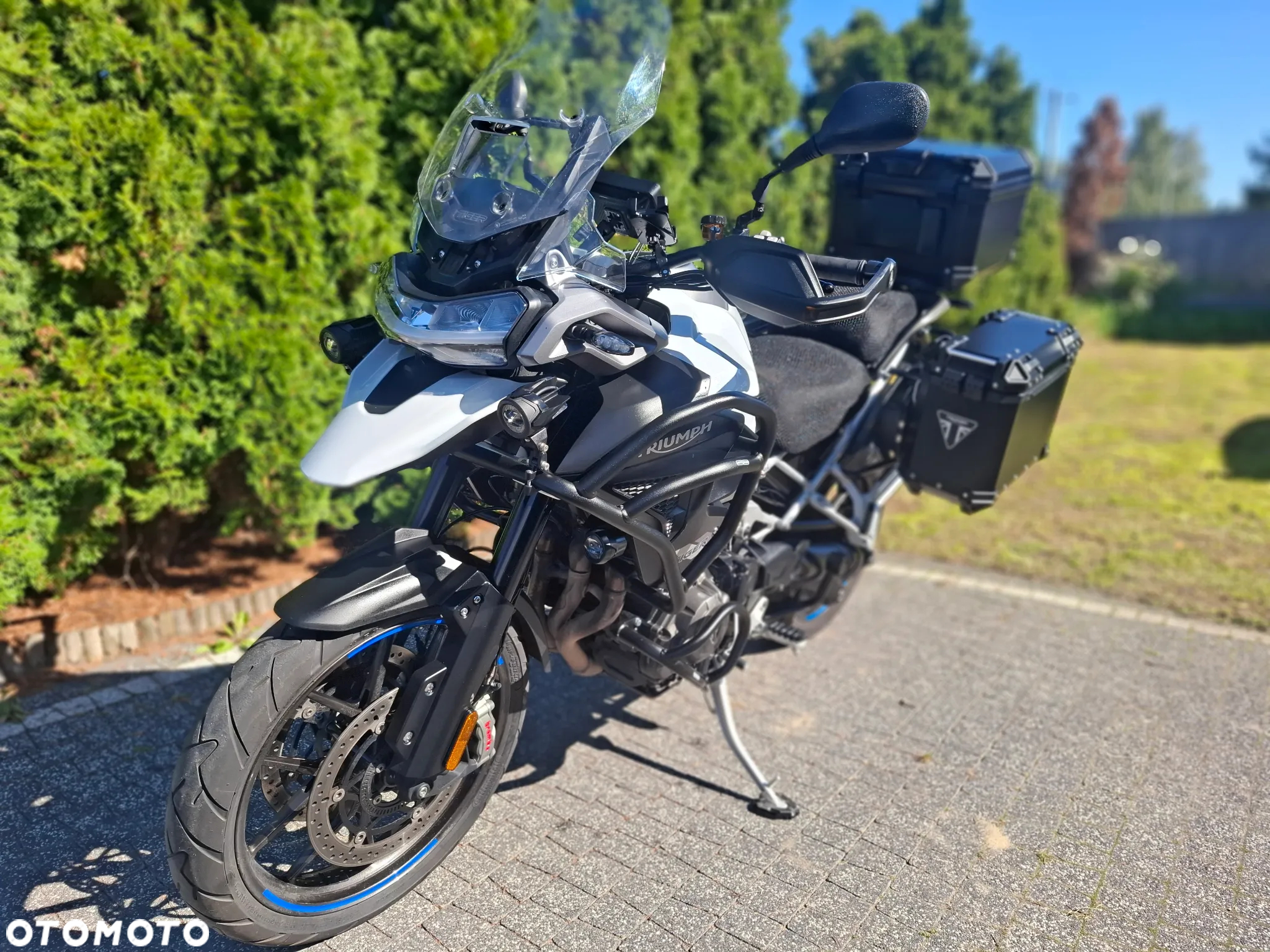 Triumph Tiger - 7