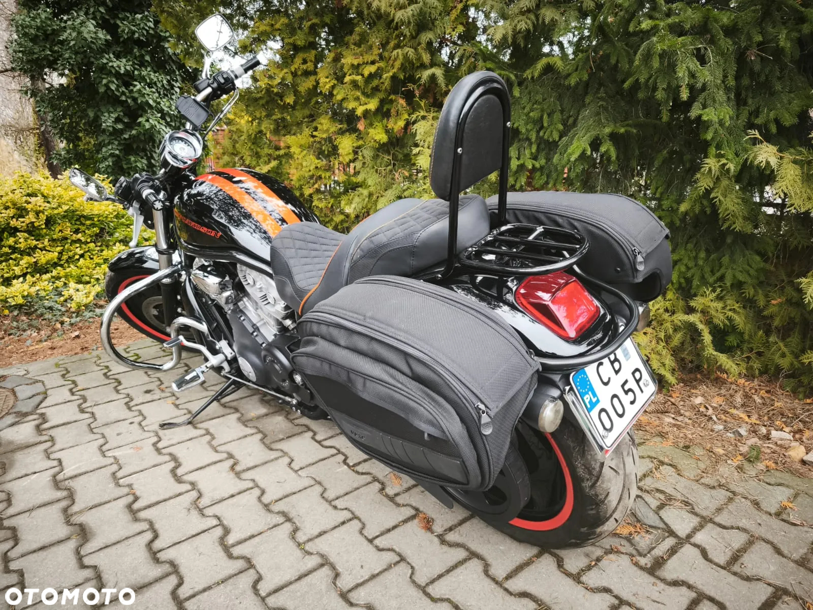 Harley-Davidson V-Rod Street Rod - 3