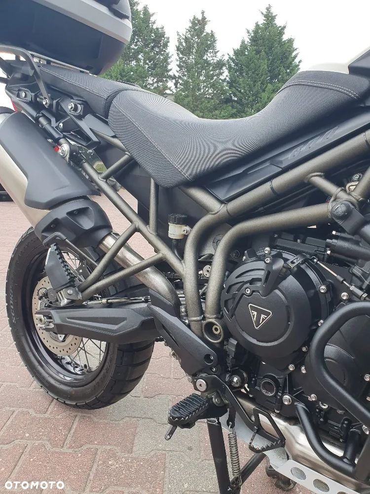 Triumph Tiger - 29