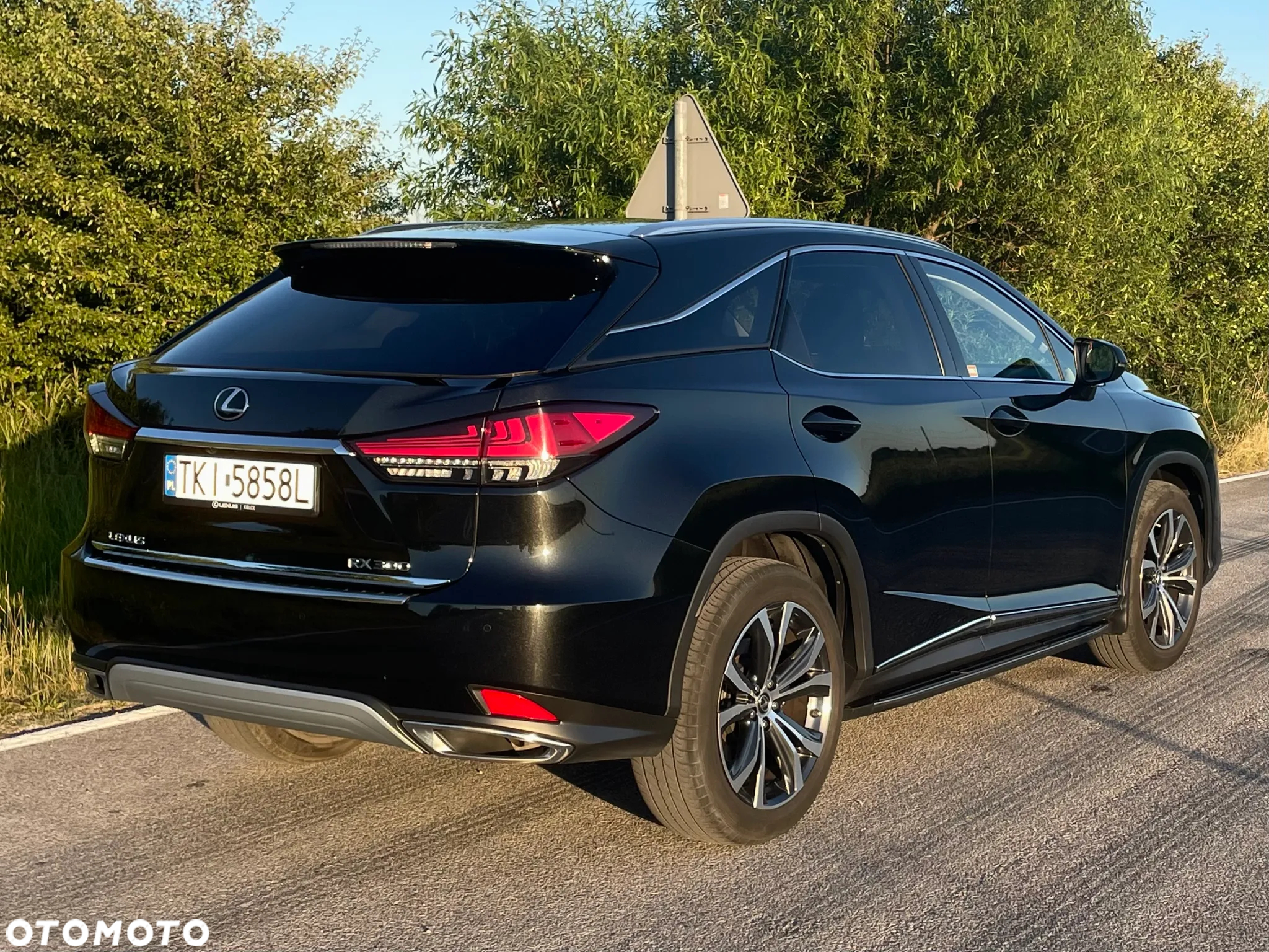 Lexus RX 300 Business Edition + - 5
