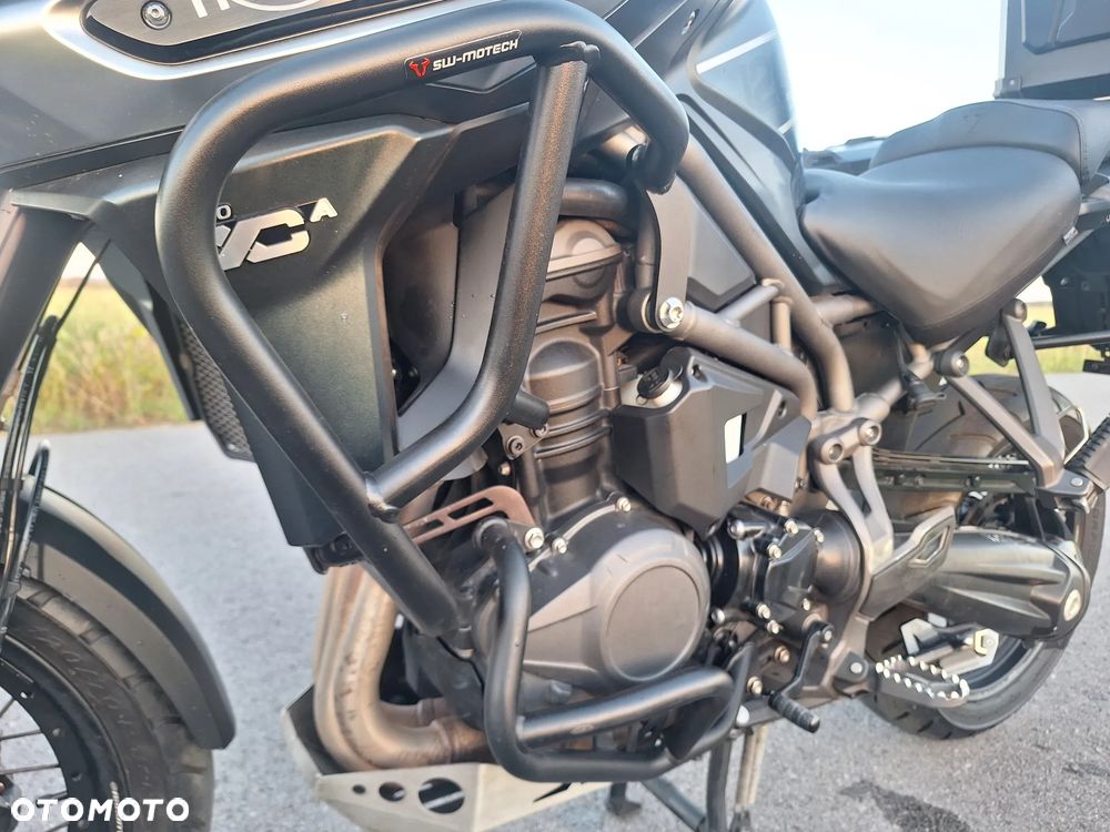 Triumph Tiger - 10