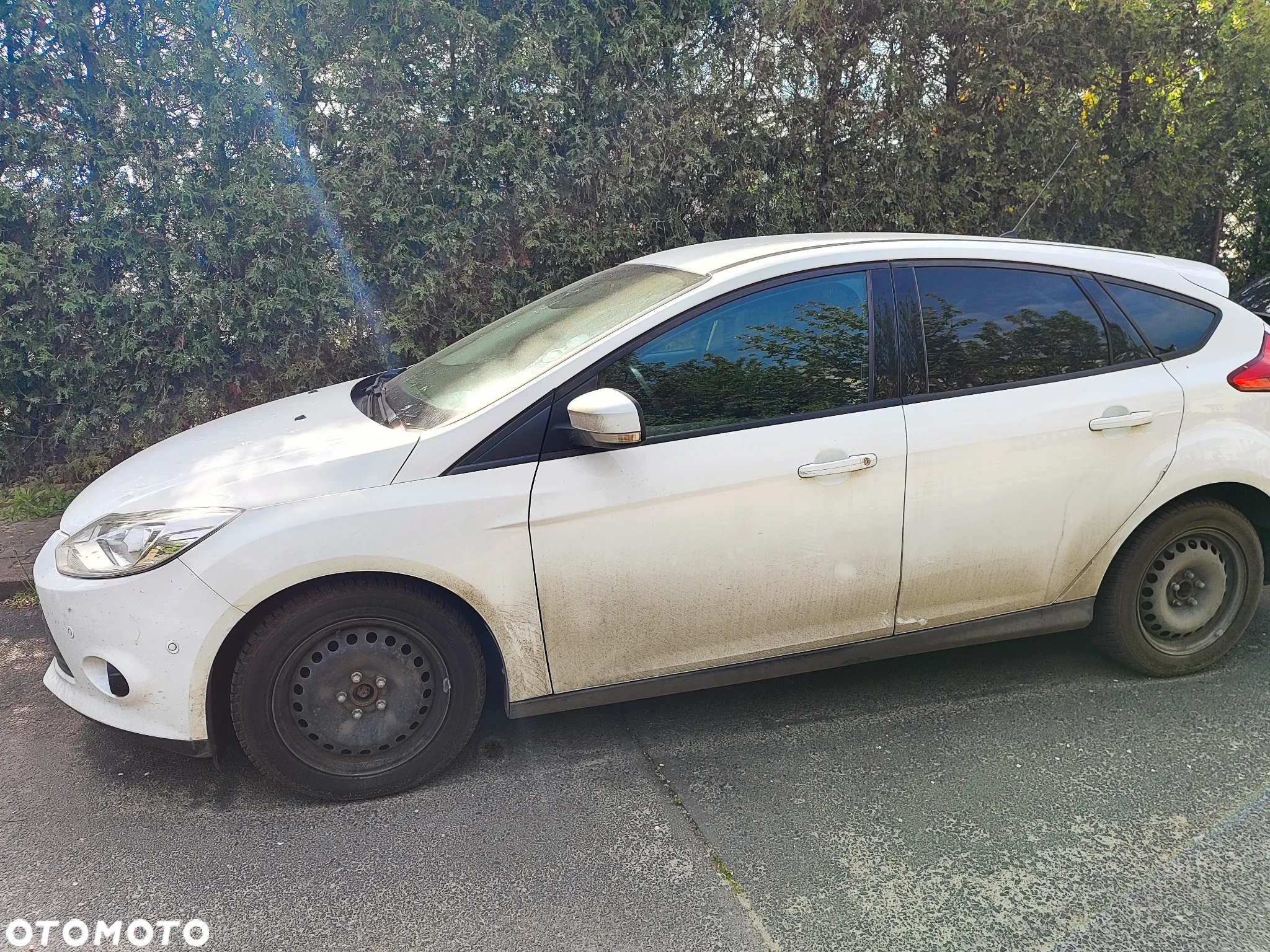 Ford Focus - 13