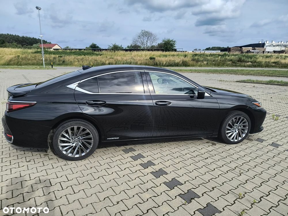 Lexus ES 300h Business Edition + - 6