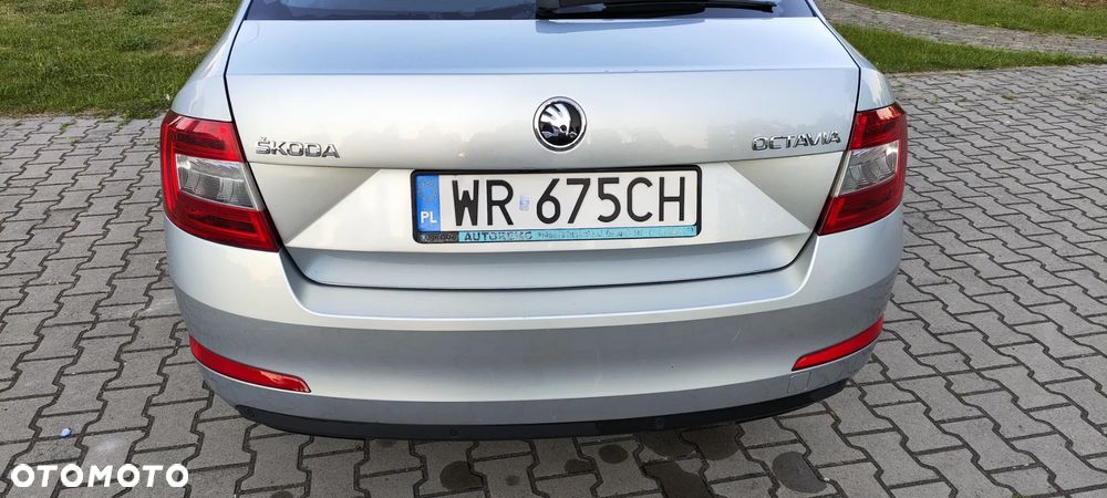 Skoda Octavia 1.6 TDI Ambition - 17