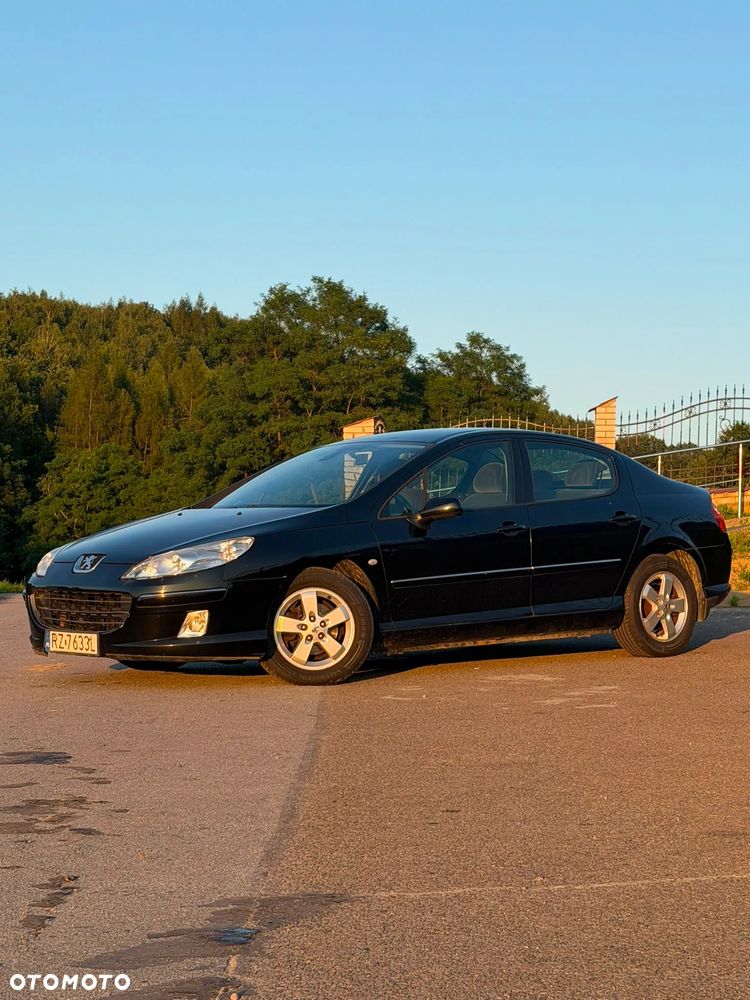 Peugeot 407 - 5