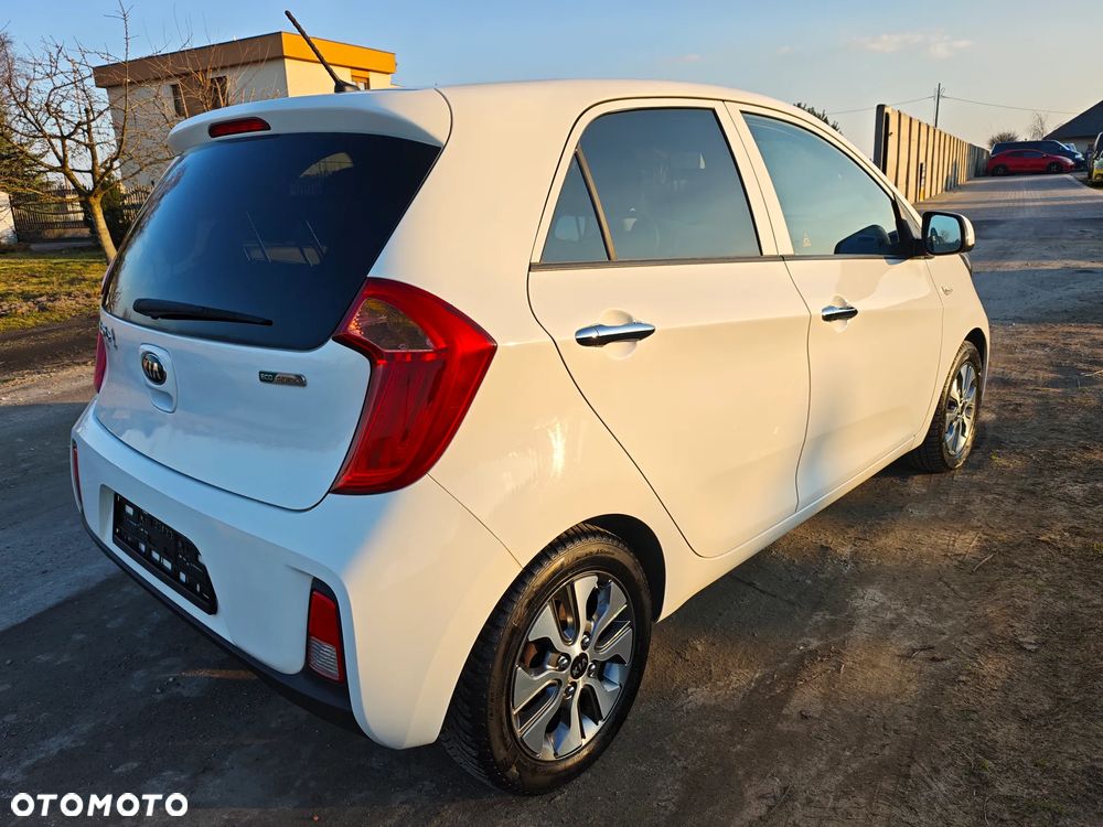 Kia Picanto 1.0 Dream-Team Edition - 3