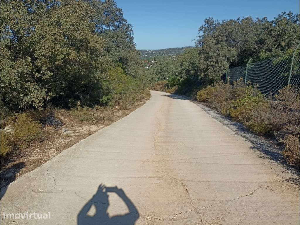 Terreno com bom acesso e vista mar - Grande imagem: 4/8
