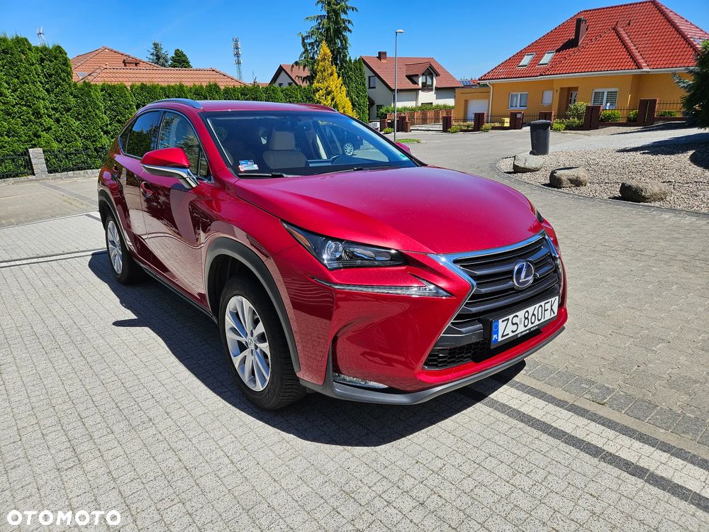 Lexus NX 300h Comfort AWD - 4
