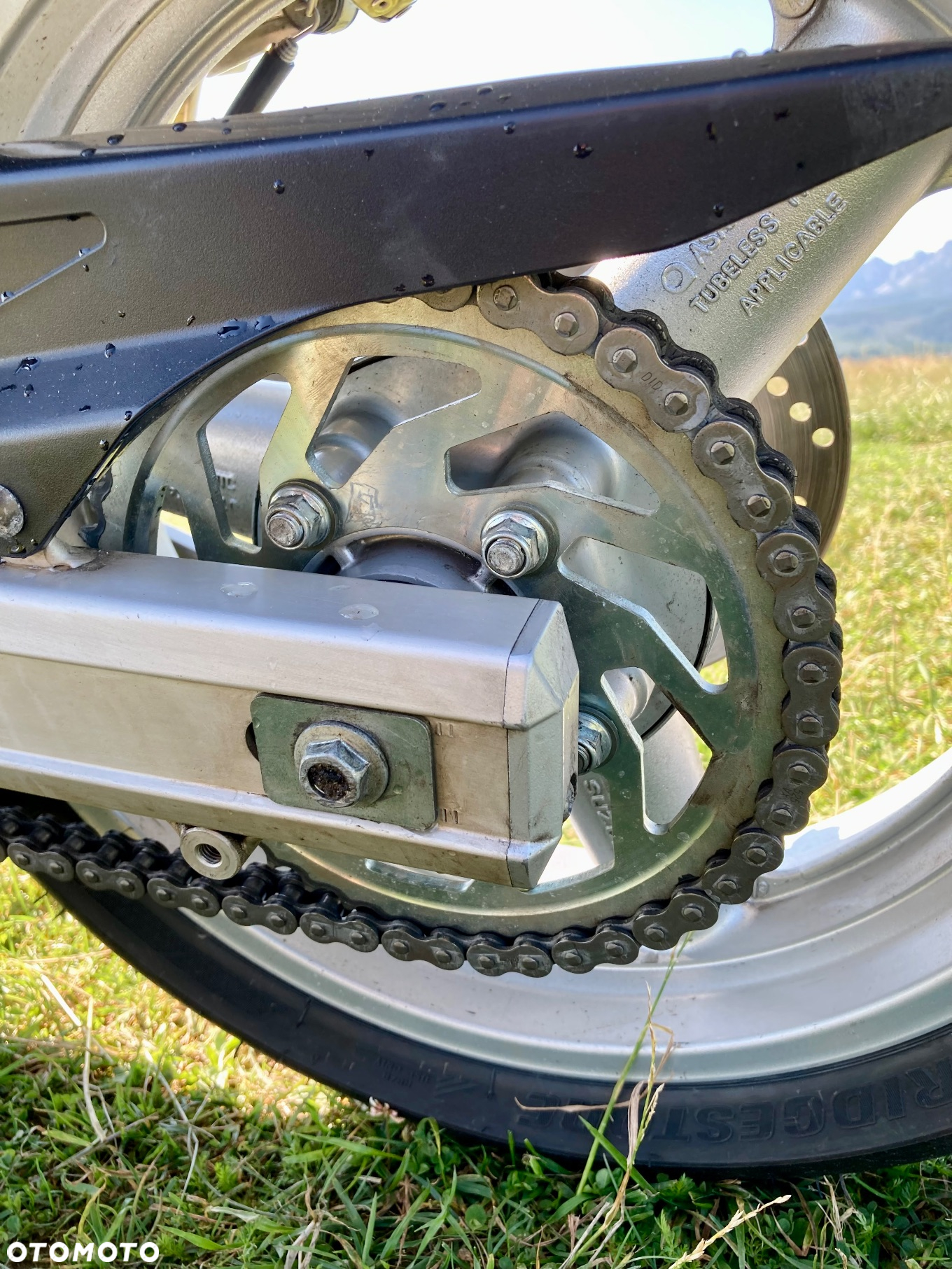 Suzuki SV - 13