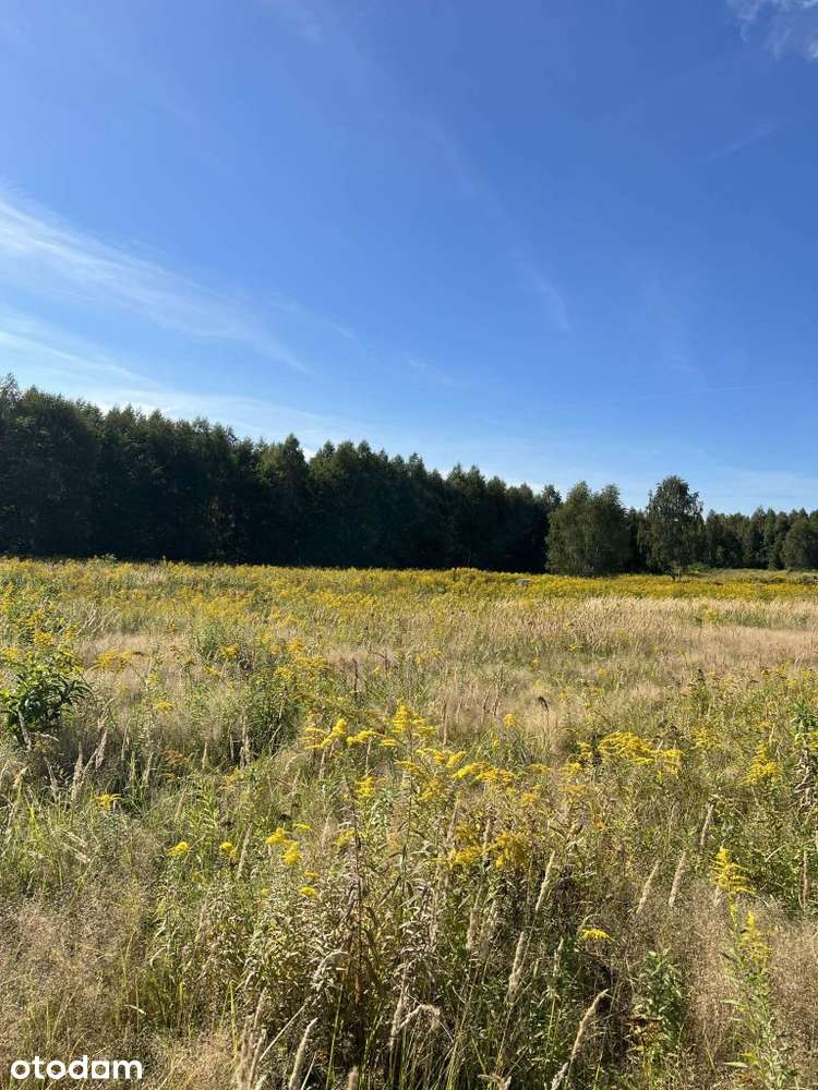 Piękna Działka budowlana bezpośrednio od właścicie - Pełny obrazek: 5/16