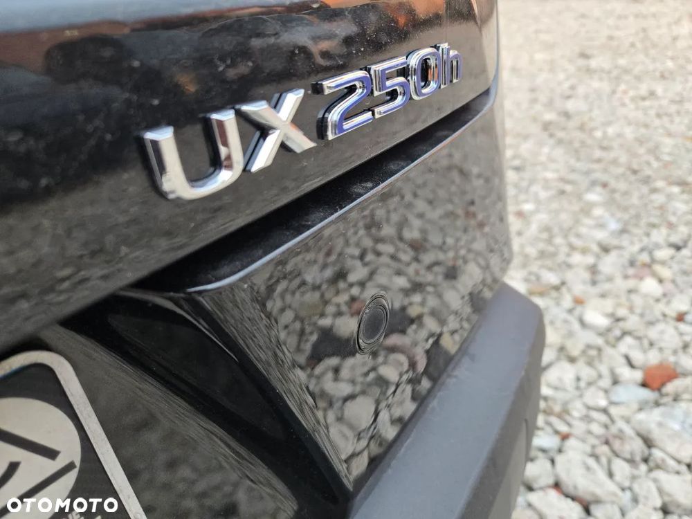 Lexus UX 250h Business Edition - 10
