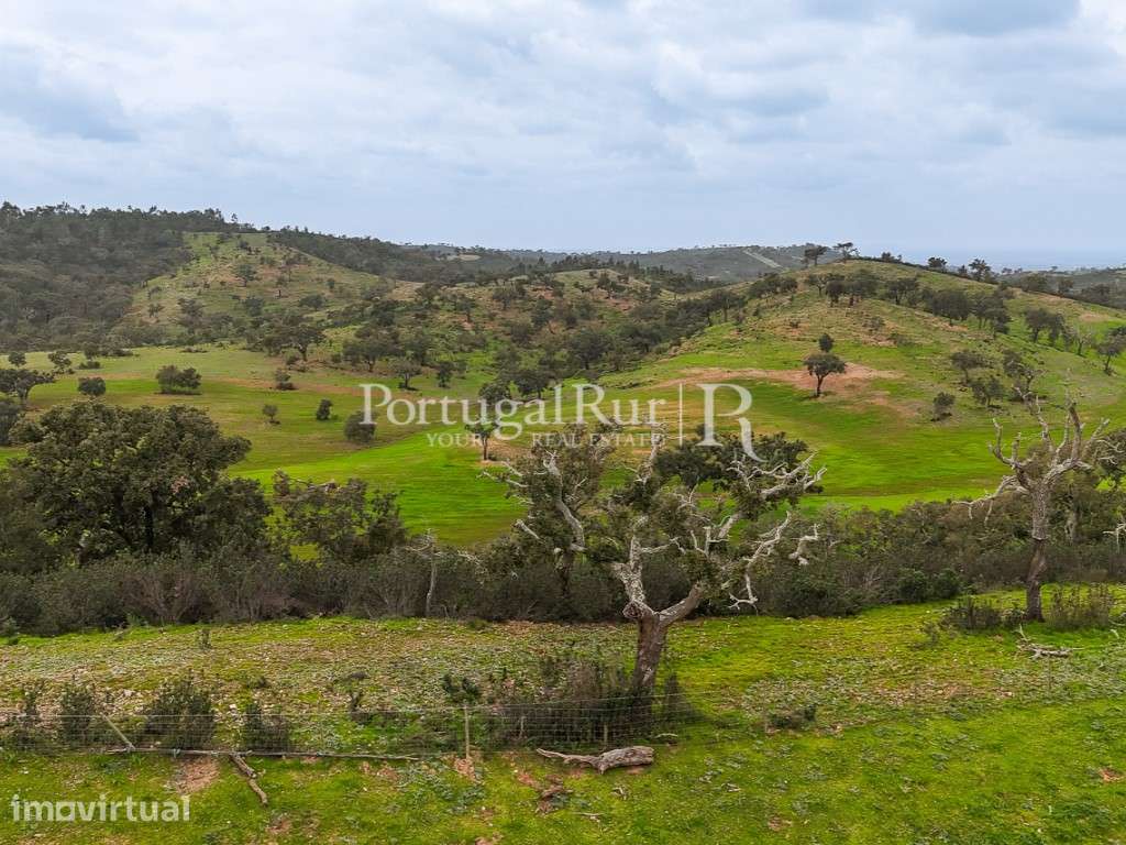 Herdade com 154 hectares em Odemira - Grande imagem: 3/44