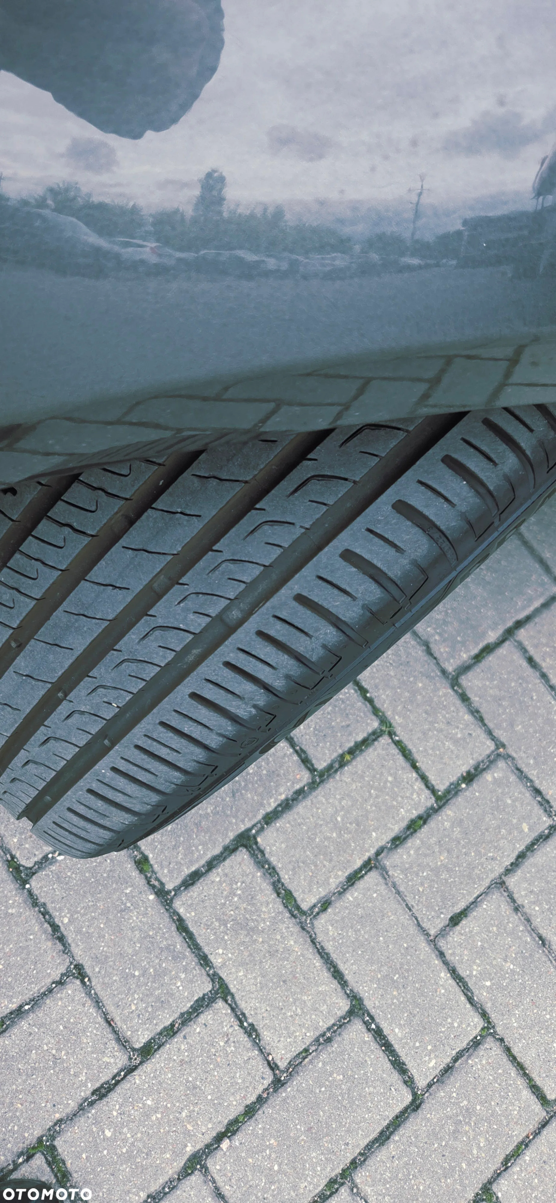 Ford Focus 1.5 EcoBlue Start-Stopp-System TITANIUM DESIGN - 25