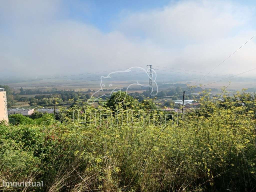 Terreno Urbano em Vilarelho - Grande imagem: 3/6